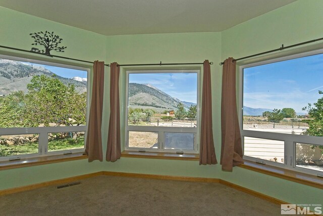 115 Chambers Ln, Woodfords, CA 96120 - photo 22