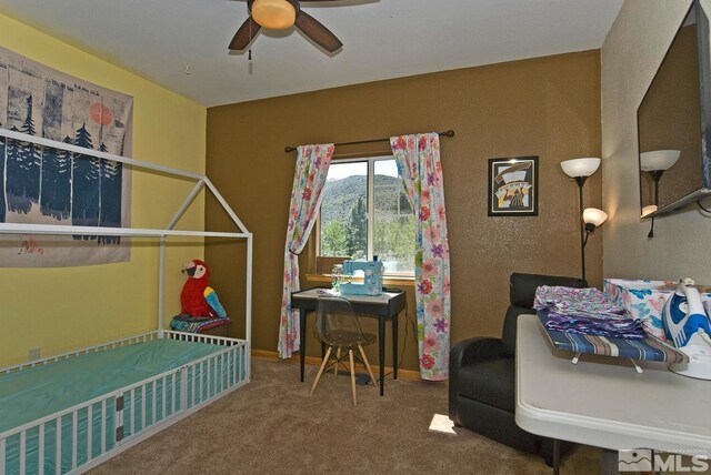 115 Chambers Ln, Woodfords, CA 96120 - photo 27