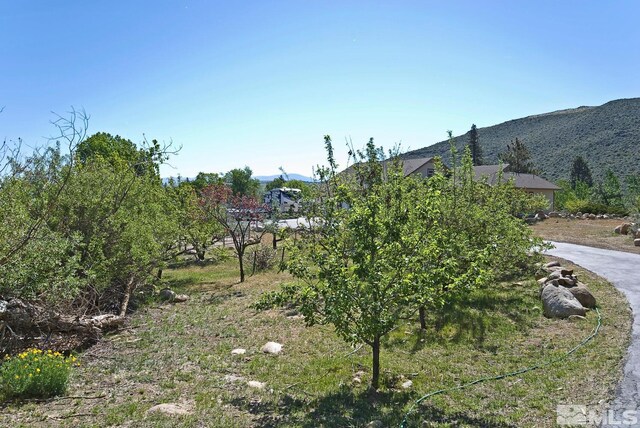 115 Chambers Ln, Woodfords, CA 96120 - photo 36