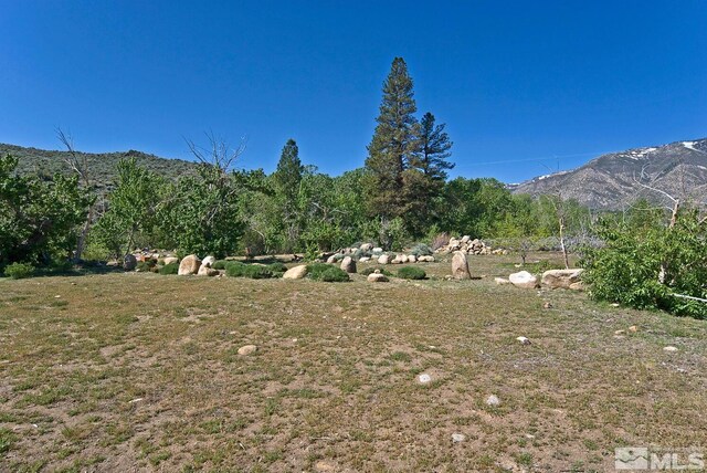 115 Chambers Ln, Woodfords, CA 96120 - photo 37