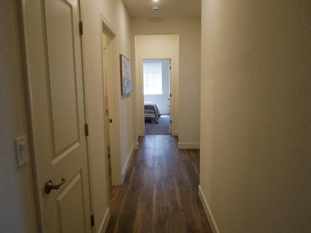 1848 Boundary Peak St, Carson City, NV 89701 - hall with dark wood-style floors and baseboards