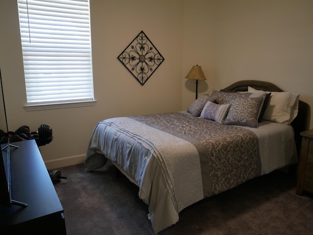 1848 Boundary Peak St, Carson City, NV 89701 - carpeted bedroom featuring baseboards