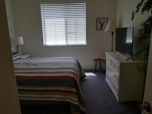 1848 Boundary Peak St, Carson City, NV 89701 - carpeted bedroom featuring baseboards