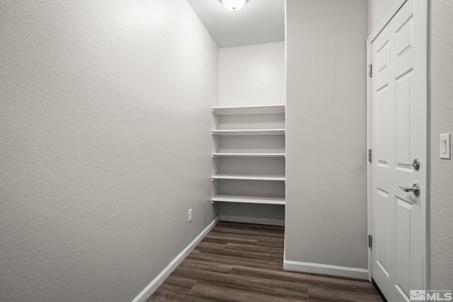 walk in closet featuring dark wood-style floors