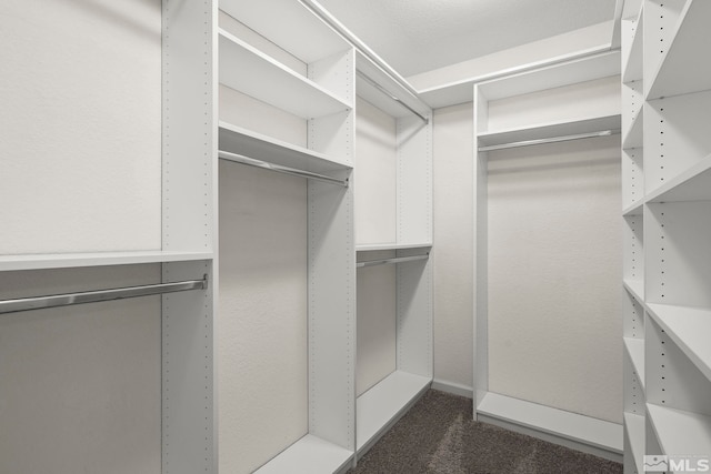 walk in closet with dark carpet