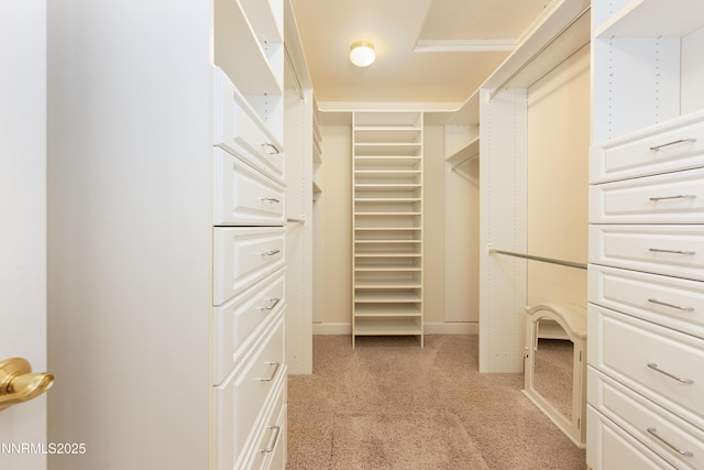 706 Norfolk Dr, Carson City, NV 89703 - spacious closet with light colored carpet