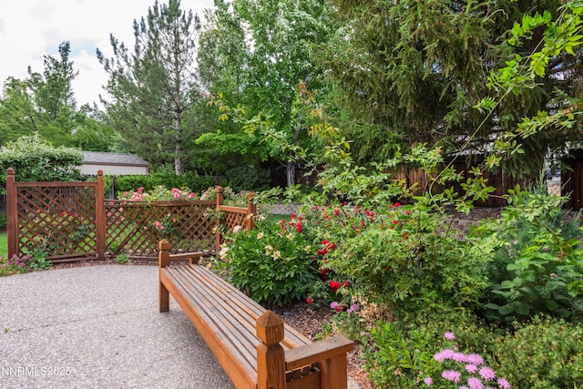 706 Norfolk Dr, Carson City, NV 89703 - view of patio / terrace