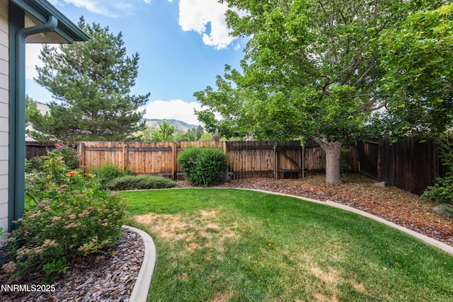 706 Norfolk Dr, Carson City, NV 89703 - fenced backyard featuring a mountain view