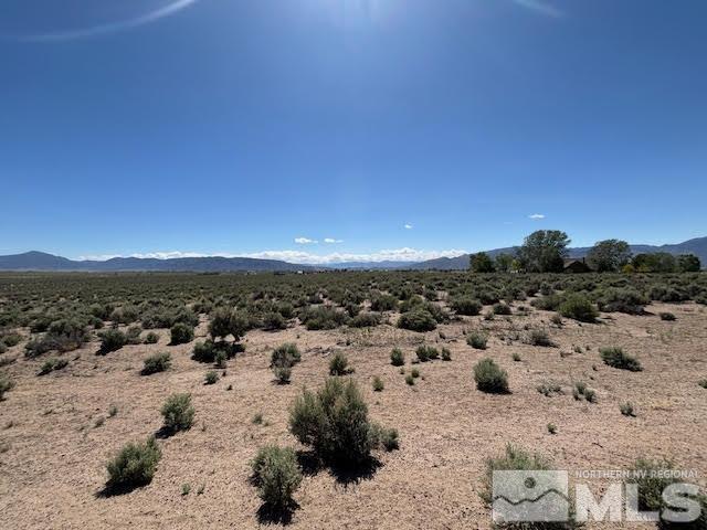 365 Ludwig Ln, Smith, NV 89430 - photo 3
