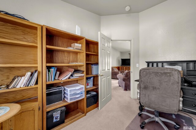 14865 N Red Rock Rd, Reno, NV 89508 - office area with light colored carpet