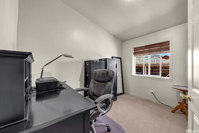 14865 N Red Rock Rd, Reno, NV 89508 - office space featuring light carpet, lofted ceiling, and baseboards