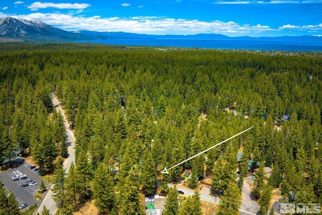 921 Gardner St, South Lake Tahoe, CA 96150