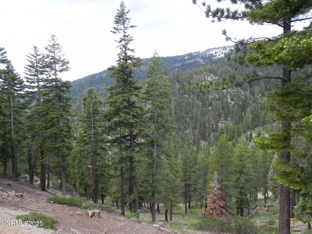 996 Tyner Way, Incline Village, NV 89451 - mountain view featuring a forest