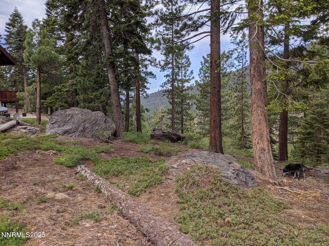 996 Tyner Way, Incline Village, NV 89451 - view of yard
