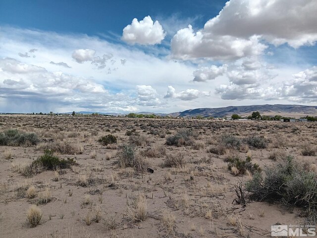 2095 E 10th St, Silver Springs, NV 89429