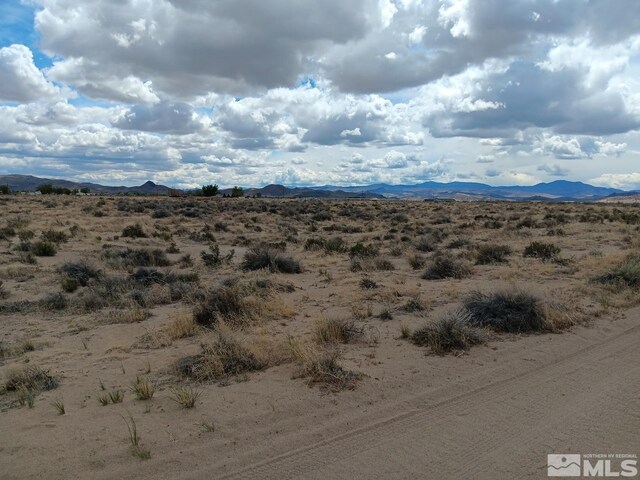 2095 E 10th St, Silver Springs, NV 89429
