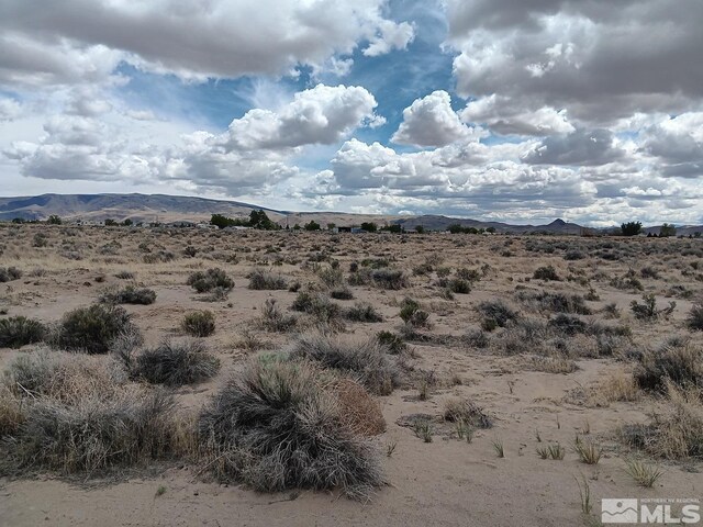 2095 E 10th St, Silver Springs, NV 89429