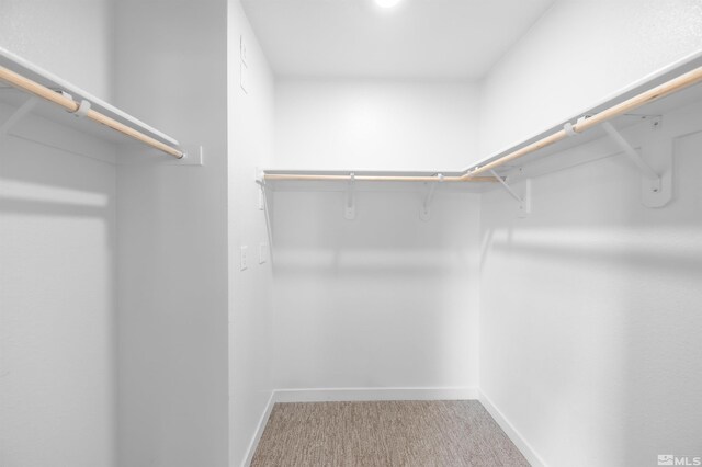 8855 Wolf Moon Dr, Reno, NV 89506 - spacious closet featuring carpet flooring