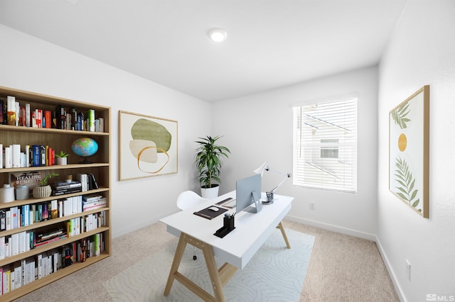 8855 Wolf Moon Dr, Reno, NV 89506 - home office featuring carpet floors and baseboards
