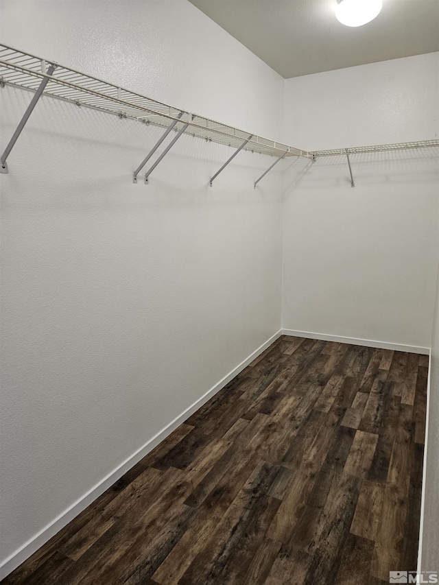 9995 Brightridge, Reno, NV 89506 - spacious closet featuring dark wood finished floors