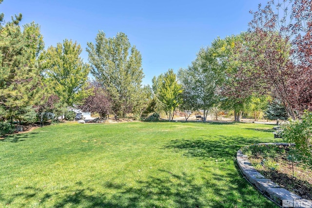 view of grassy yard