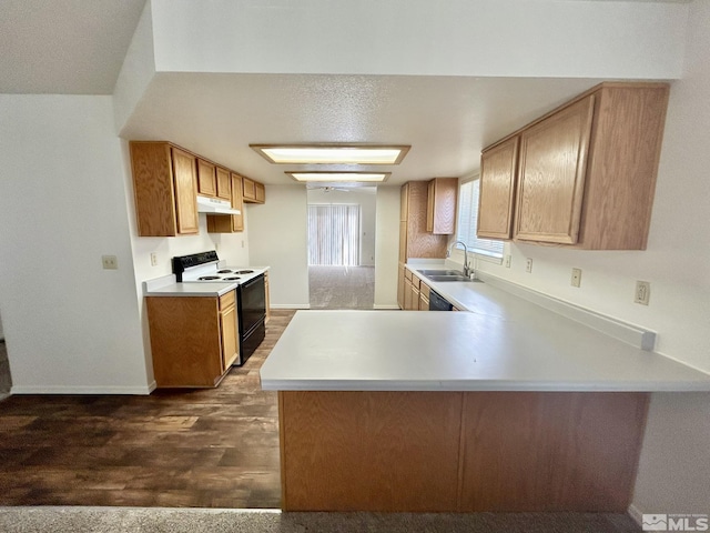 1447 N Marion Russell, Gardnerville, NV 89410 - kitchen featuring range with electric cooktop, under cabinet range hood, dark wood-type flooring, a sink, and a peninsula