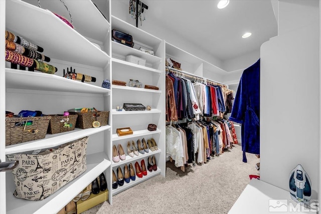 10401 Copper Cloud Dr, Reno, NV 89511 - spacious closet featuring carpet floors