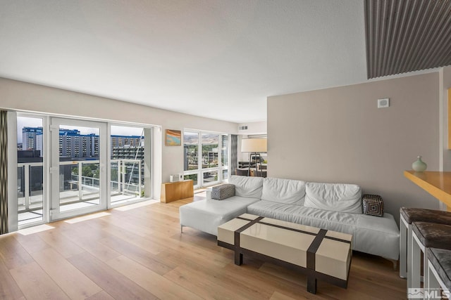 living room featuring light wood finished floors