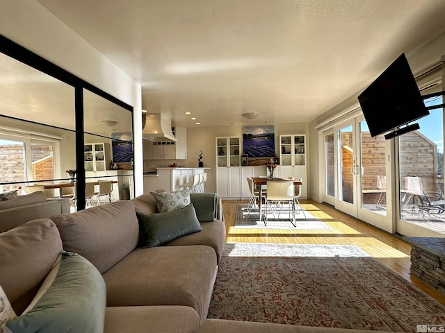 living room with wood finished floors, french doors, and healthy amount of natural light