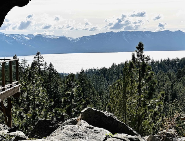 mountain view with a forest