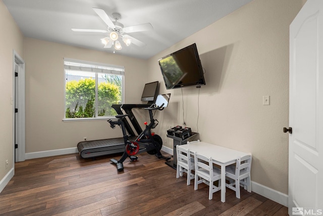 2963 Moose Ridge Dr, Reno, NV 89523 - workout area with hardwood / wood-style floors, baseboards, and a ceiling fan