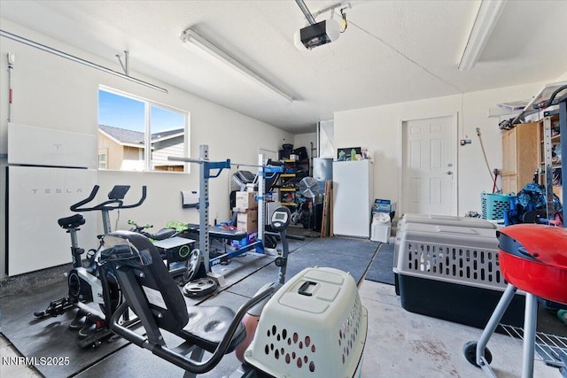 391A Bens Way, Fernley, NV 89408 - workout area featuring a garage and a textured ceiling