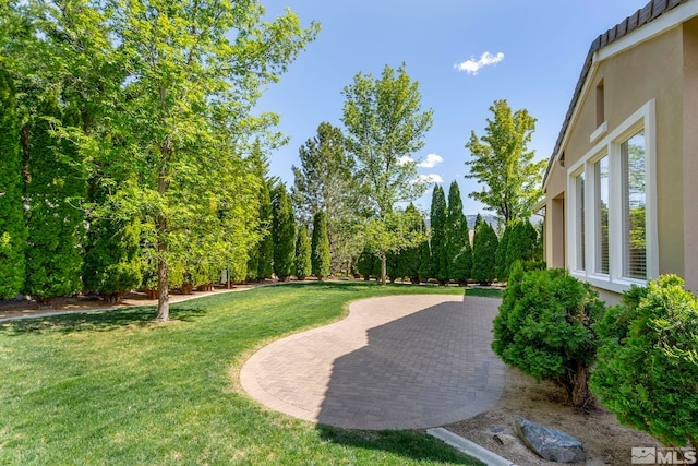 view of green lawn with a patio