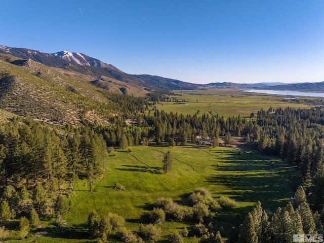 6995 Franktown Rd, Washoe Valley, NV 89704 - photo 21