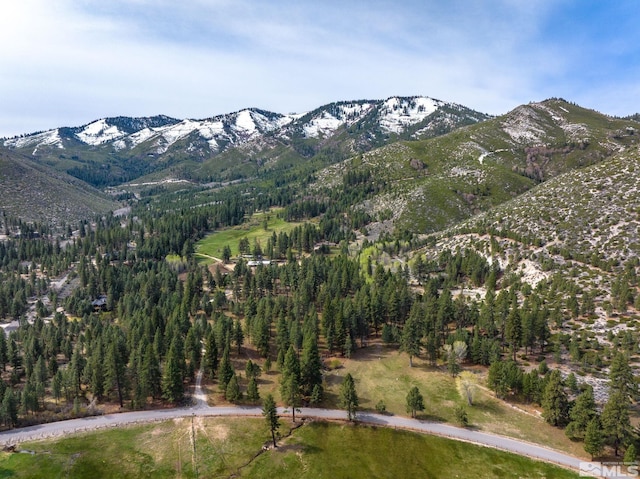 6995 Franktown Rd, Washoe Valley, NV 89704 - photo 28