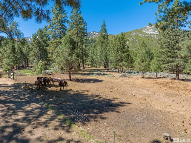 6995 Franktown Rd, Washoe Valley, NV 89704 - photo 32