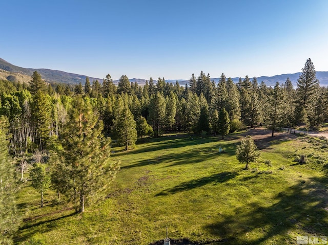 6995 Franktown Rd, Washoe Valley, NV 89704 - photo 25