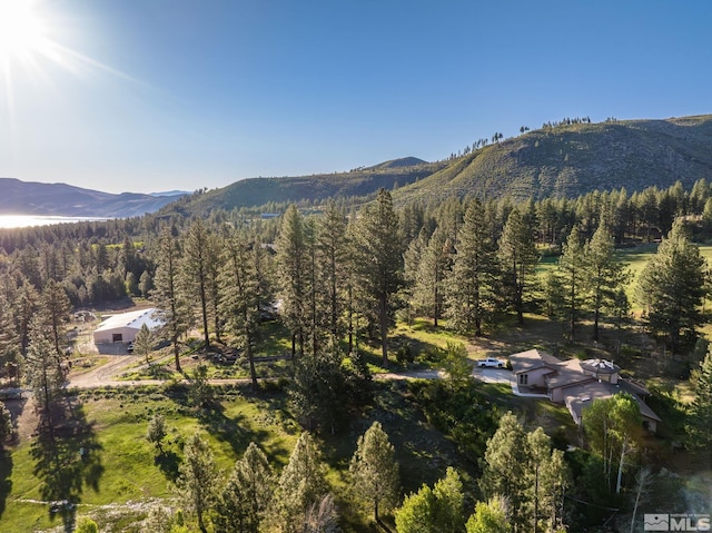 6995 Franktown Rd, Washoe Valley, NV 89704 - photo 2