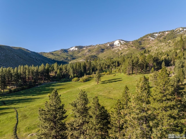 6995 Franktown Rd, Washoe Valley, NV 89704 - photo 26