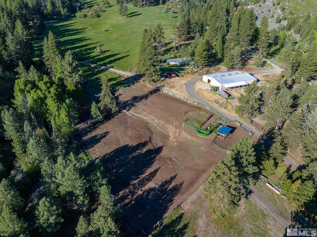 6995 Franktown Rd, Washoe Valley, NV 89704 - photo 10