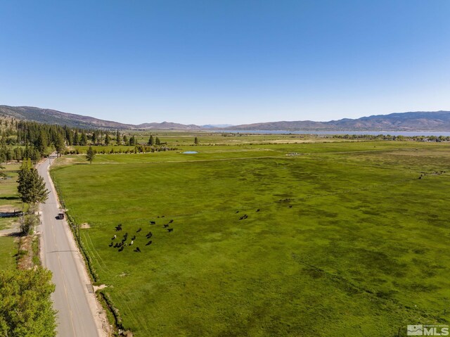 6995 Franktown Rd, Washoe Valley, NV 89704 - photo 37