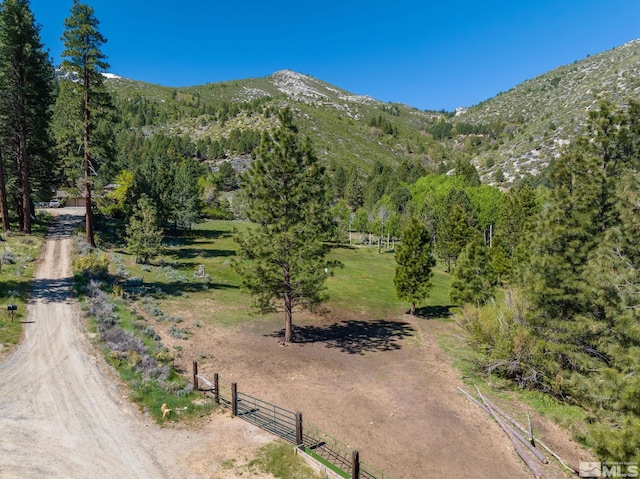 6995 Franktown Rd, Washoe Valley, NV 89704 - photo 30