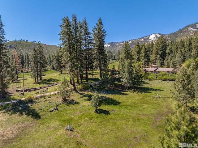 6995 Franktown Rd, Washoe Valley, NV 89704 - photo 3