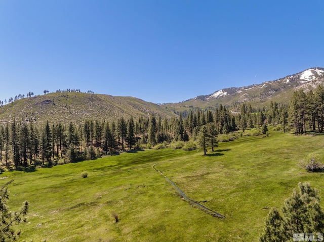 6995 Franktown Rd, Washoe Valley, NV 89704 - photo 27