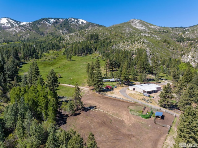 6995 Franktown Rd, Washoe Valley, NV 89704 - photo 9