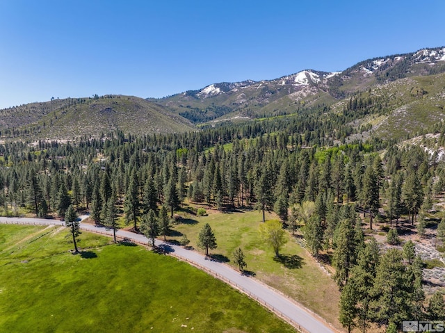 6995 Franktown Rd, Washoe Valley, NV 89704 - photo 29
