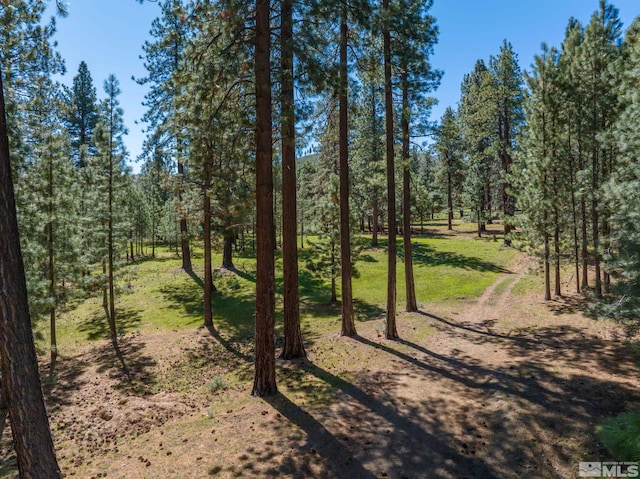 6995 Franktown Rd, Washoe Valley, NV 89704 - photo 33