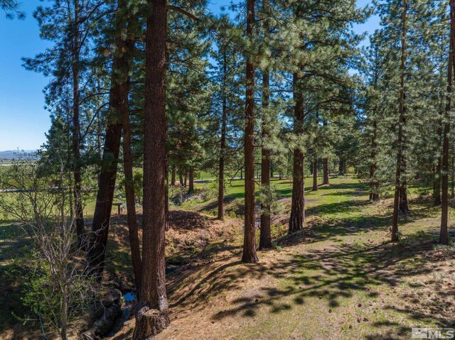 6995 Franktown Rd, Washoe Valley, NV 89704 - photo 34