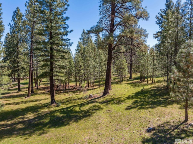 6995 Franktown Rd, Washoe Valley, NV 89704 - photo 35
