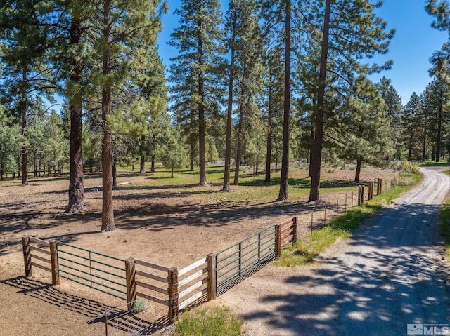 6995 Franktown Rd, Washoe Valley, NV 89704 - photo 31